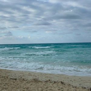 Meet your Posher, Brigitte